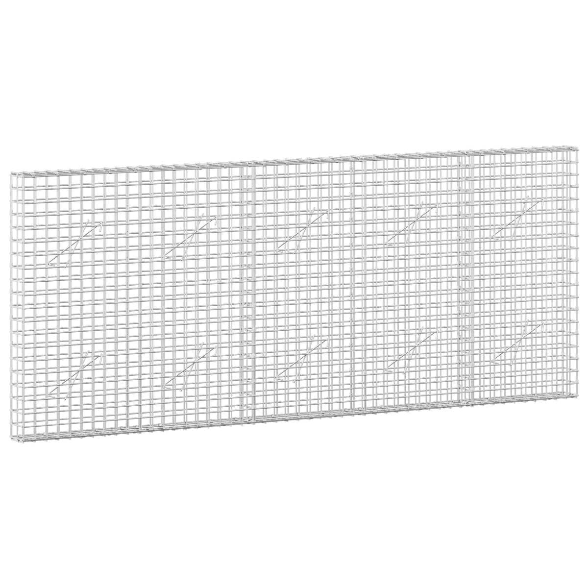 vidaXL Gabion with 5 mm Wire and 5x5 cm Mesh 250x10x100 cm 2