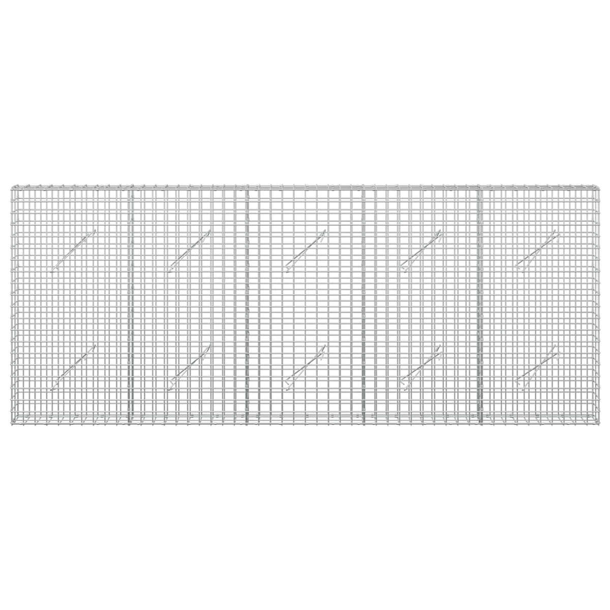 vidaXL Gabion with 5 mm Wire and 5x5 cm Mesh 250x10x100 cm 3