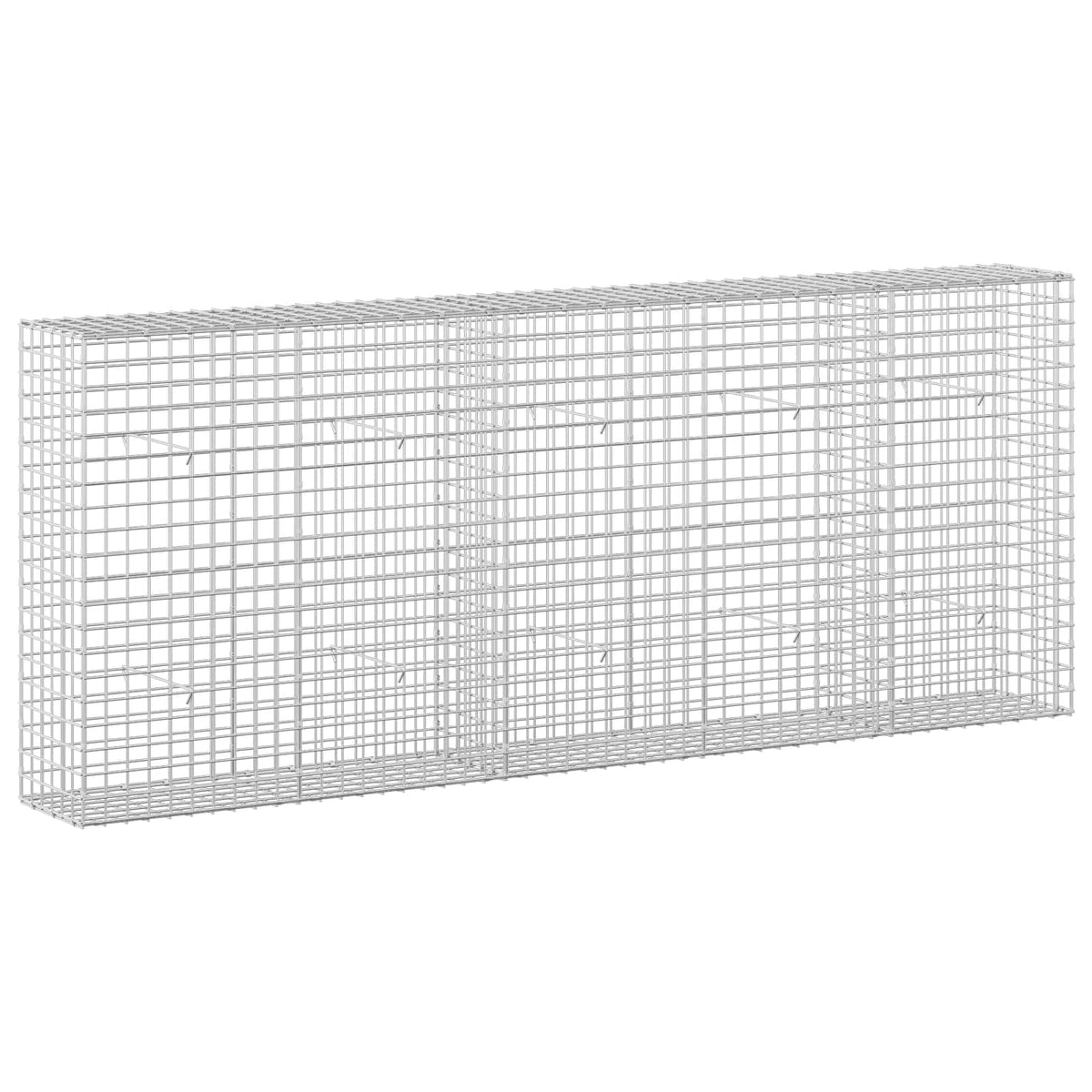 vidaXL Gabion with 5 mm Wire and 5x5 cm Mesh 250x30x100 cm 2