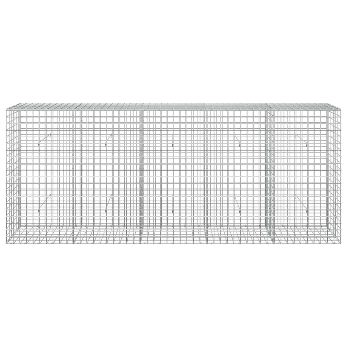 vidaXL Gabion with 5 mm Wire and 5x5 cm Mesh 250x30x100 cm 3