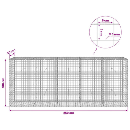 vidaXL Gabion with 5 mm Wire and 5x5 cm Mesh 250x30x100 cm 6