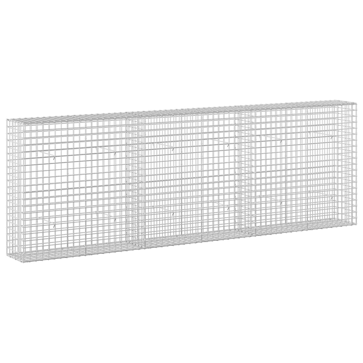 vidaXL Gabion with 5 mm Wire and 5x5 cm Mesh 300x30x100 cm 2