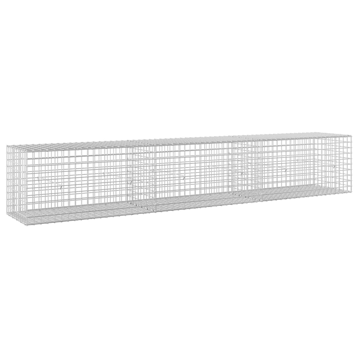 vidaXL Gabion with 5 mm Wire and 5x5 cm Mesh 300x50x50 cm 2