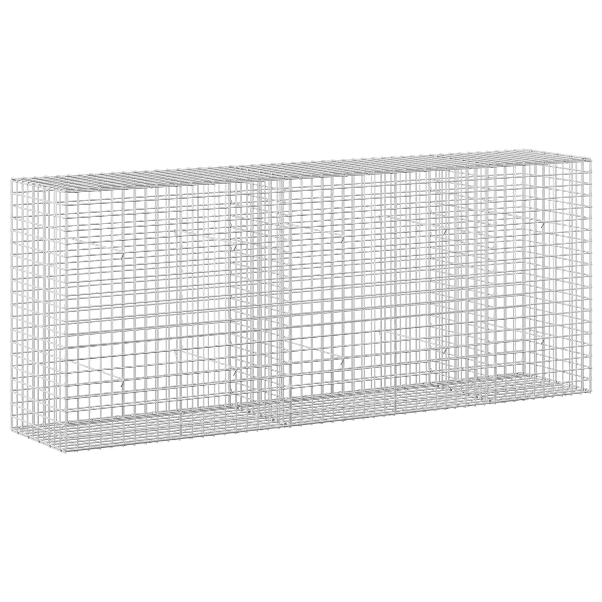 vidaXL Gabion with 5 mm Wire and 5x5 cm Mesh 250x50x100 cm 2