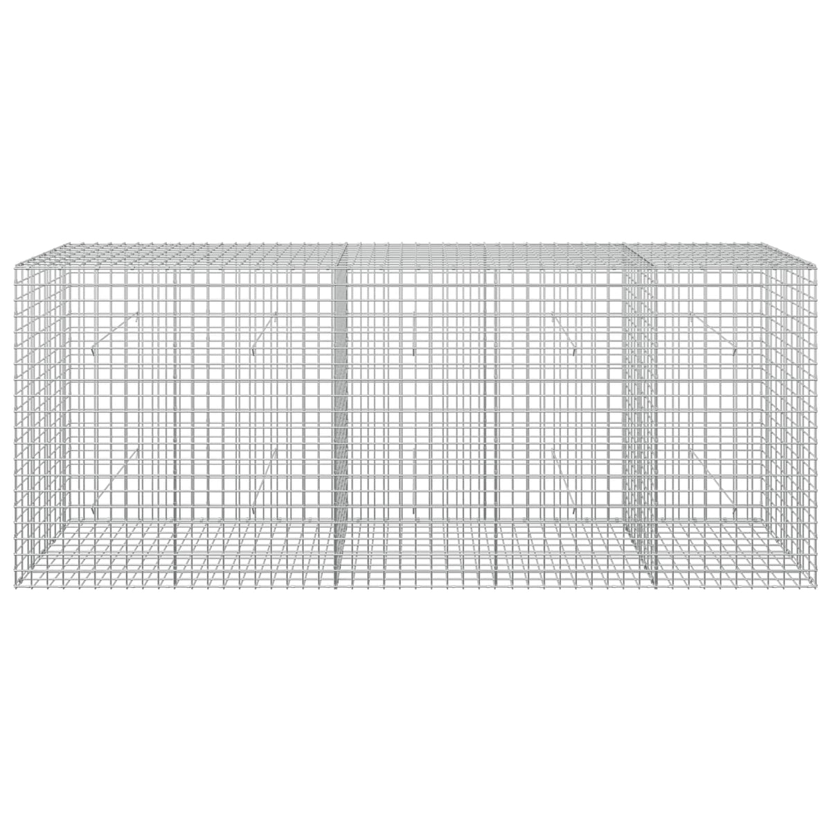 vidaXL Gabion with 5 mm Wire and 5x5 cm Mesh 250x50x100 cm 3