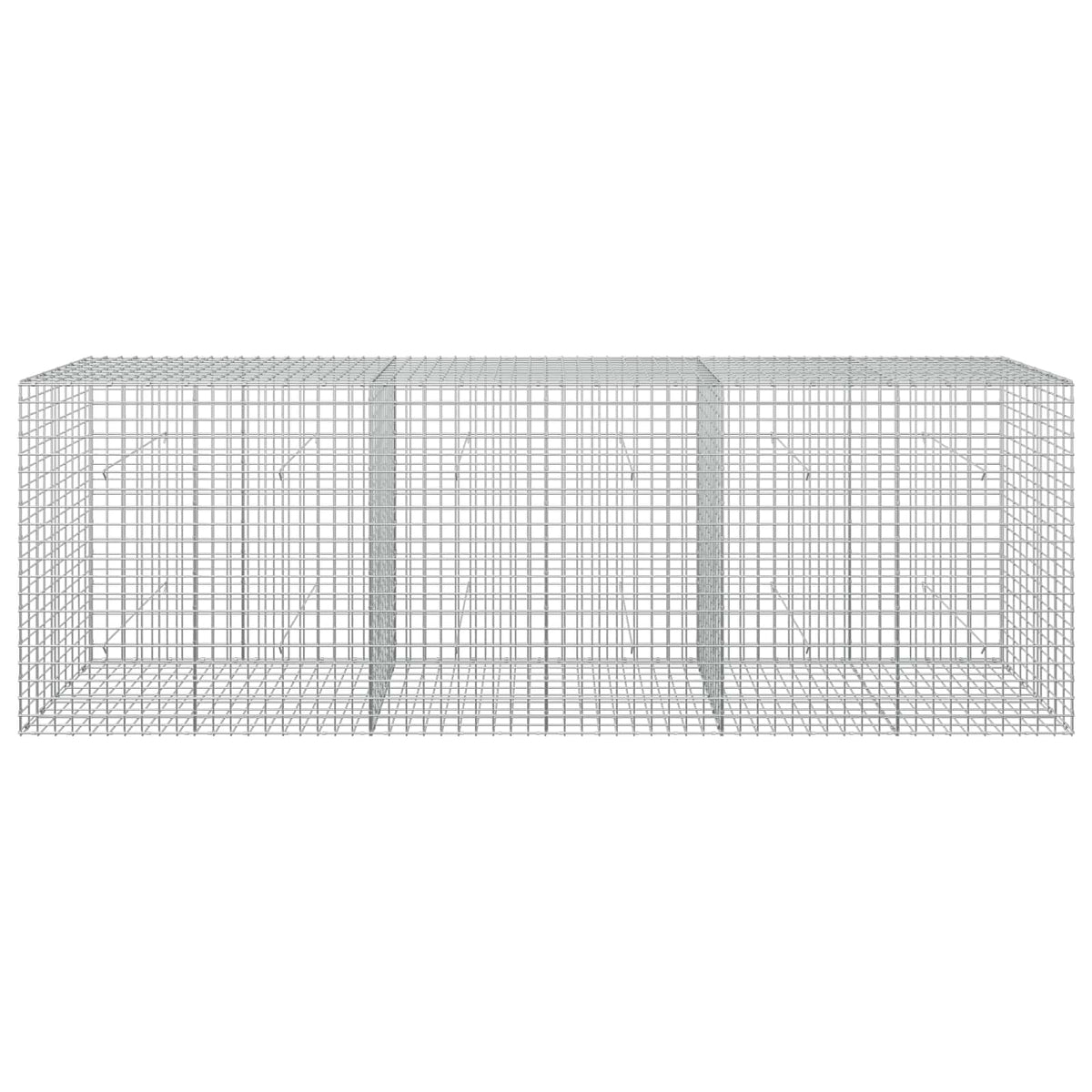 vidaXL Gabion with 5 mm Wire and 5x5 cm Mesh 300x50x100 cm 3