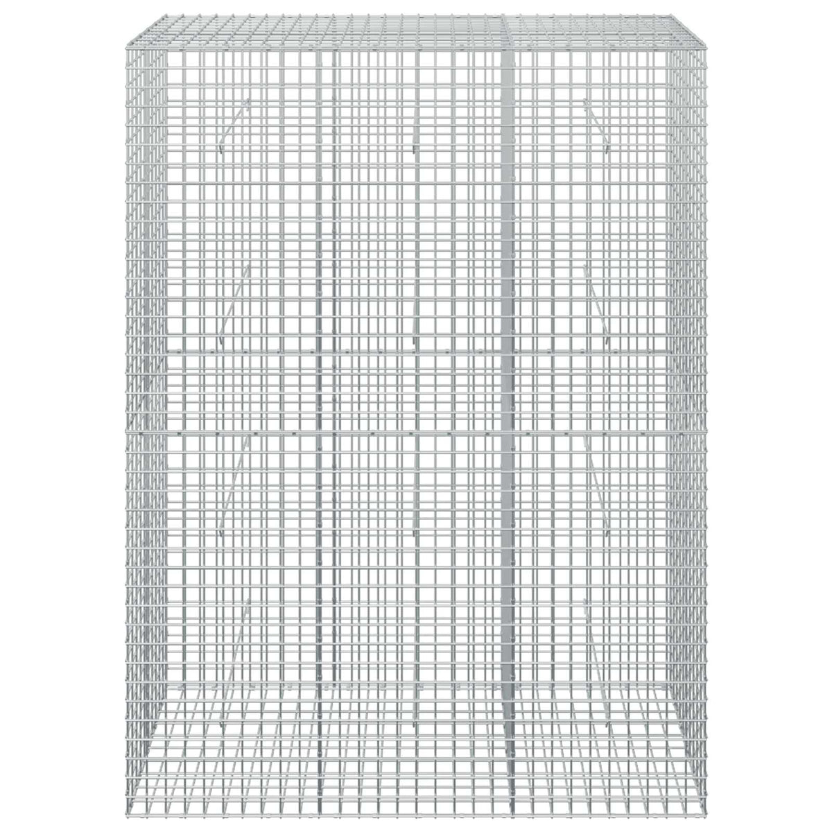 Gabion with 5 mm Wire and 5x5 cm Mesh 50x50x200 cm 150 cm