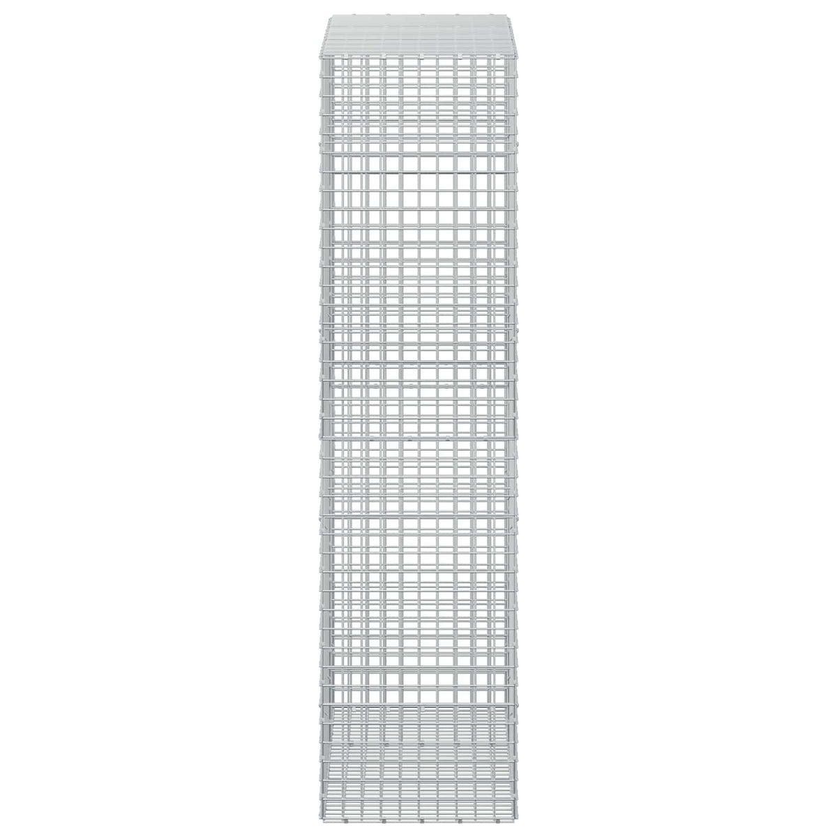 Gabion with 5 mm Wire and 5x5 cm Mesh 50x50x200 cm 150 cm