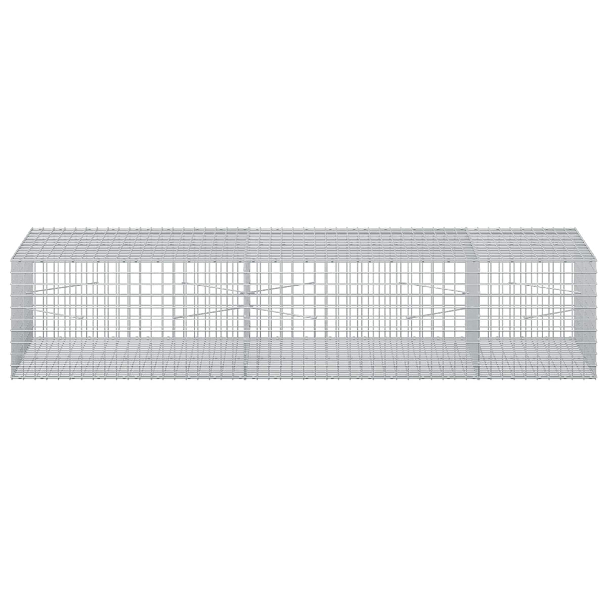 vidaXL Gabion with 5 mm Wire and 5x5 cm Mesh 250x100x50 cm 3