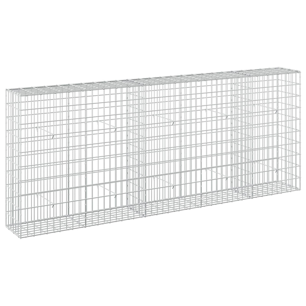 vidaXL Gabion with 5 mm Wire and 5x10 cm Mesh 250x30x100 cm 2