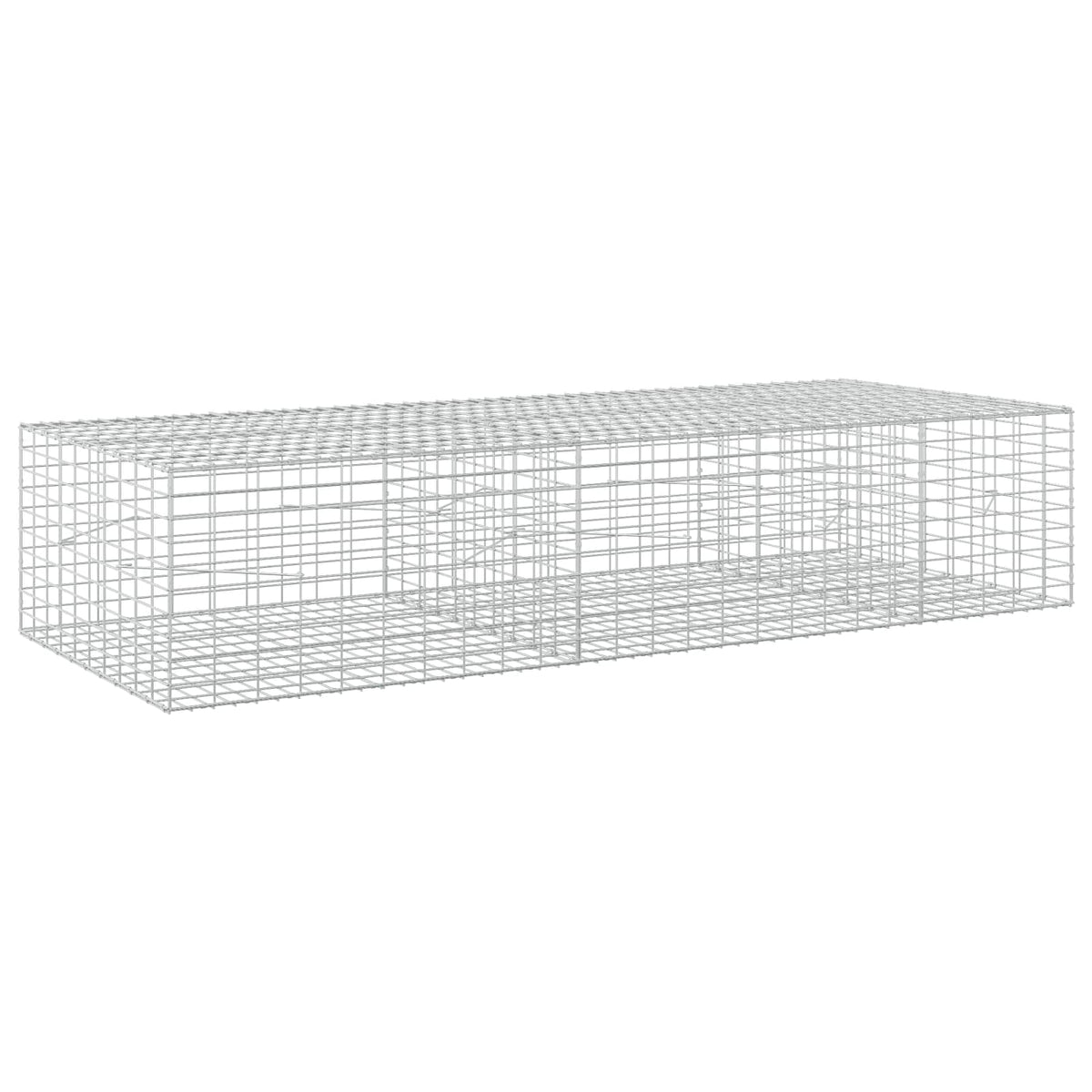 vidaXL Gabion with 5 mm Wire and 5x10 cm Mesh 250x100x50 cm 2