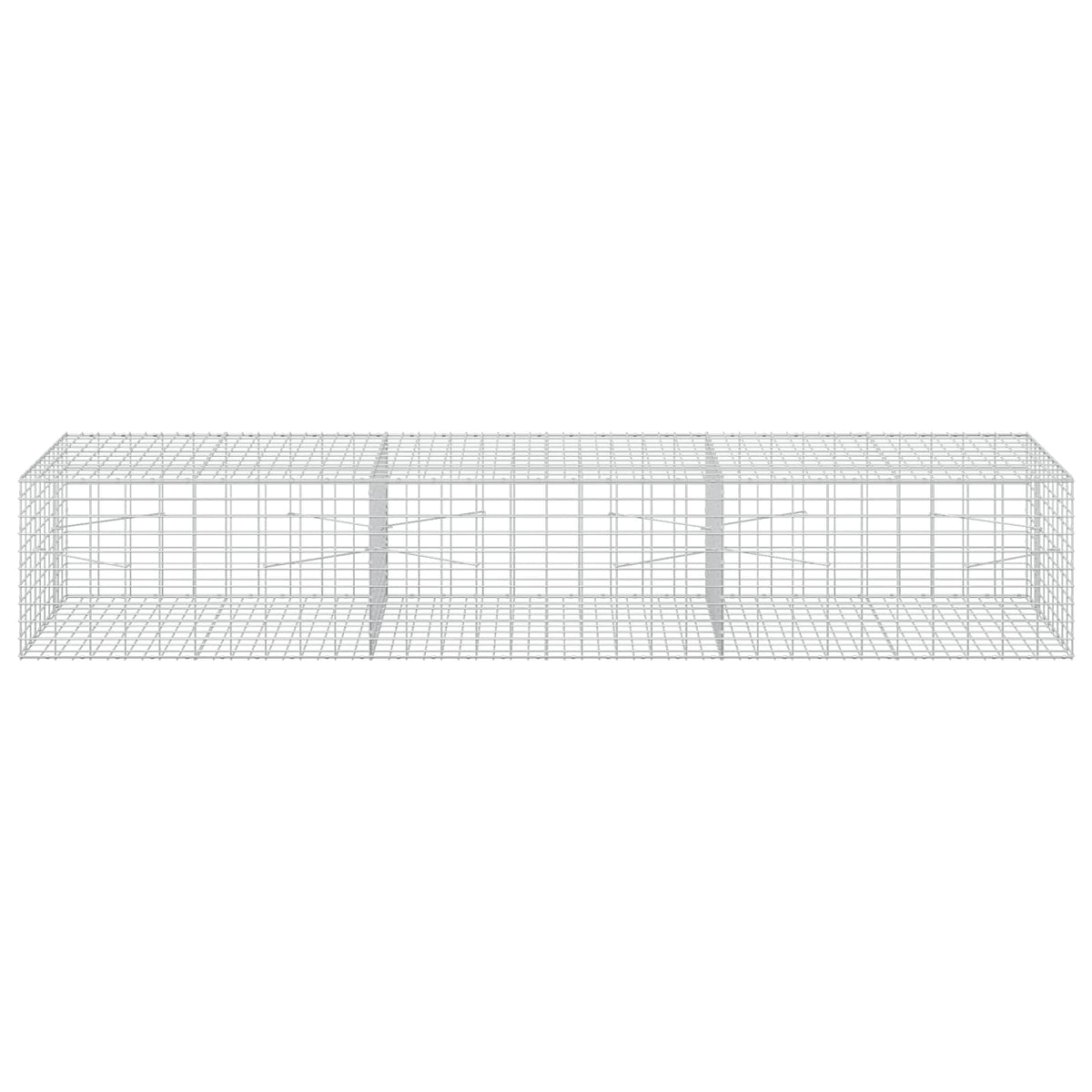 vidaXL Gabion with 5 mm Wire and 5x10 cm Mesh 300x100x50 cm 3