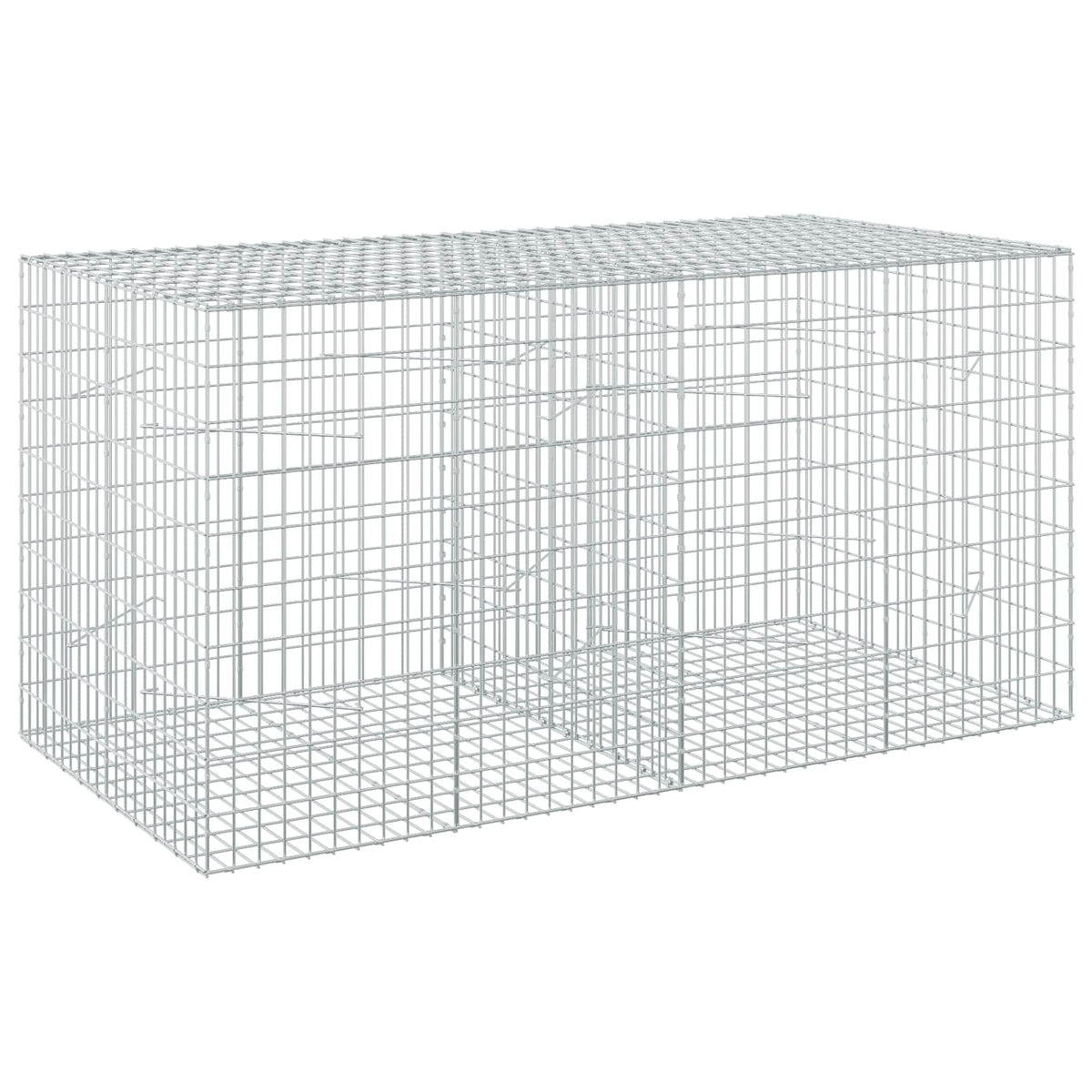 vidaXL Gabion with 5 mm Wire and 5x10 cm Mesh 200x100x100 cm 2