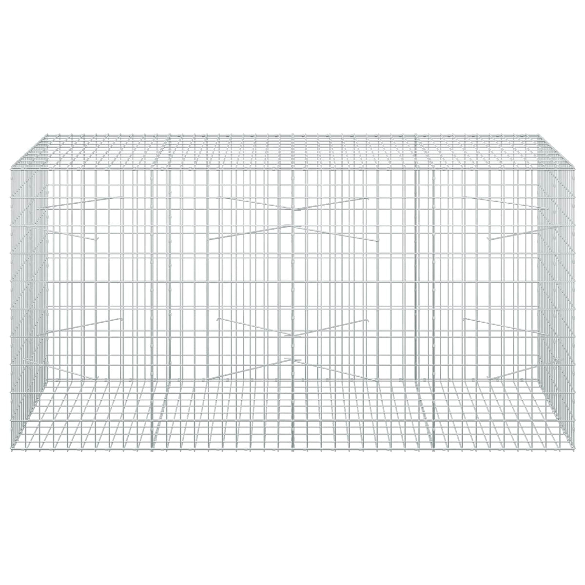 vidaXL Gabion with 5 mm Wire and 5x10 cm Mesh 200x100x100 cm 3