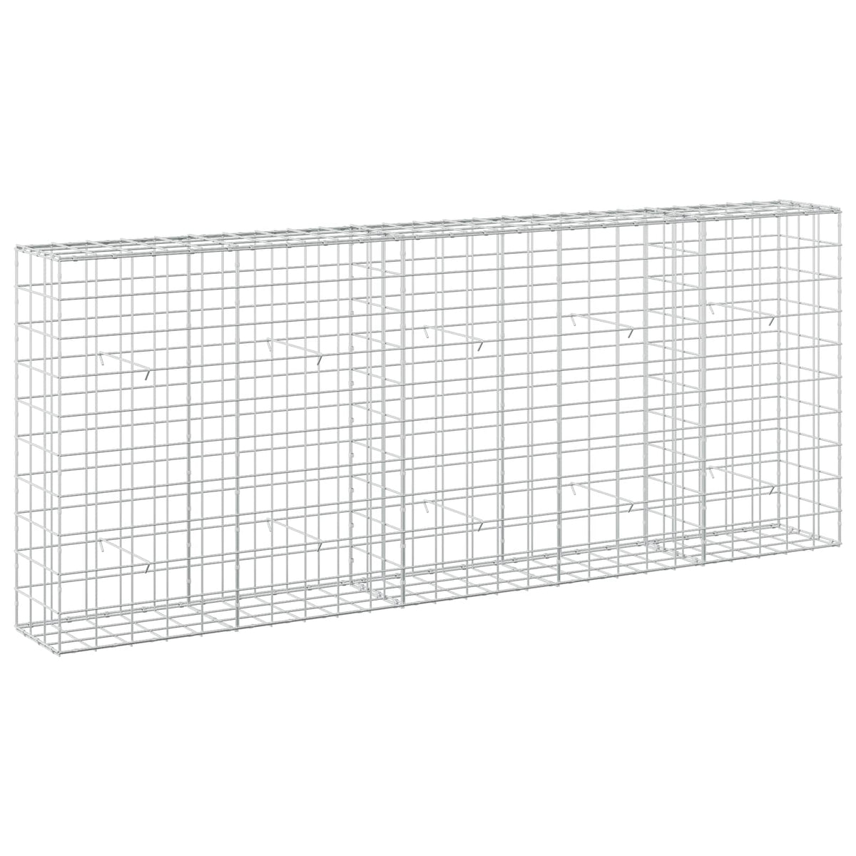 vidaXL Gabion with 5 mm Wire and 10x10 cm Mesh 250x30x100 cm 2