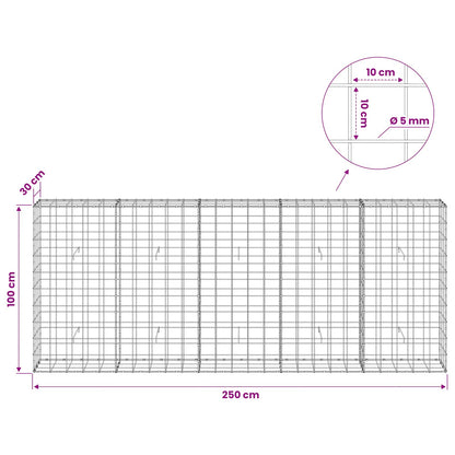 vidaXL Gabion with 5 mm Wire and 10x10 cm Mesh 250x30x100 cm 6