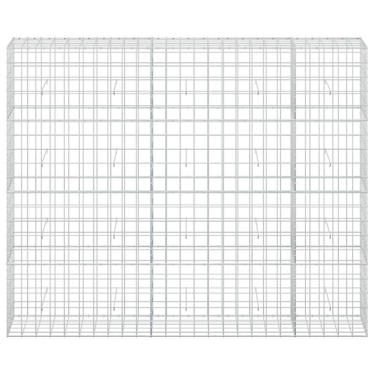 vidaXL Gabion with 5 mm Wire and 10x10 cm Mesh 250x50x200 cm 3