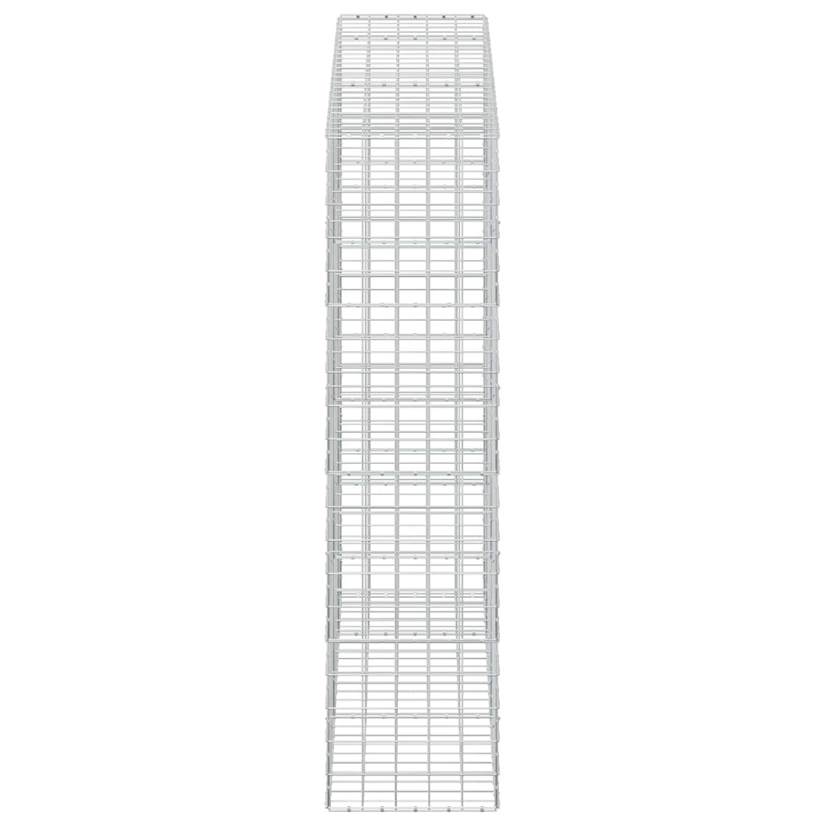 vidaXL Gabion with 5 mm Wire and 10x10 cm Mesh 250x50x200 cm 4