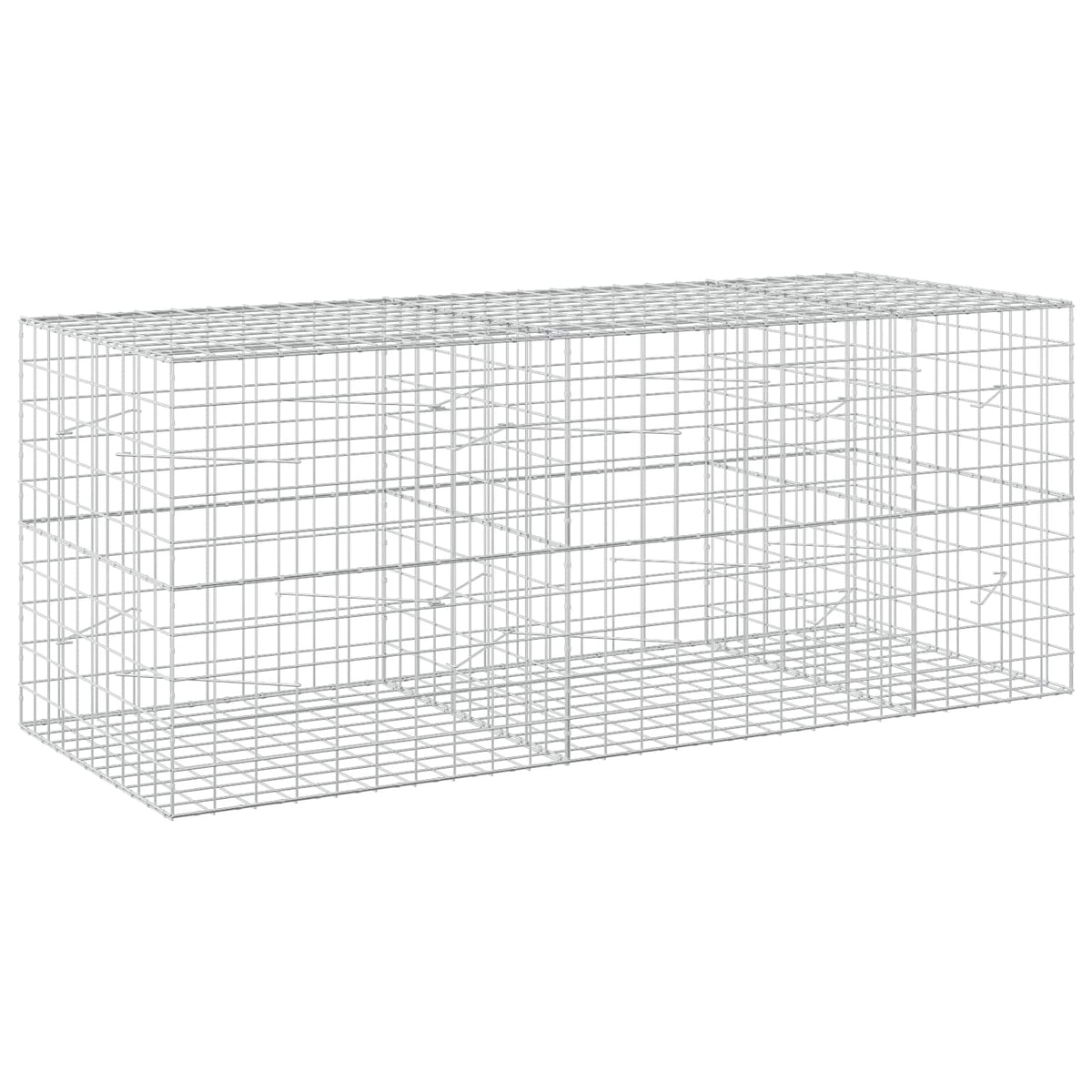vidaXL Gabion with 5 mm Wire and 10x10 cm Mesh 250x100x100 cm 2