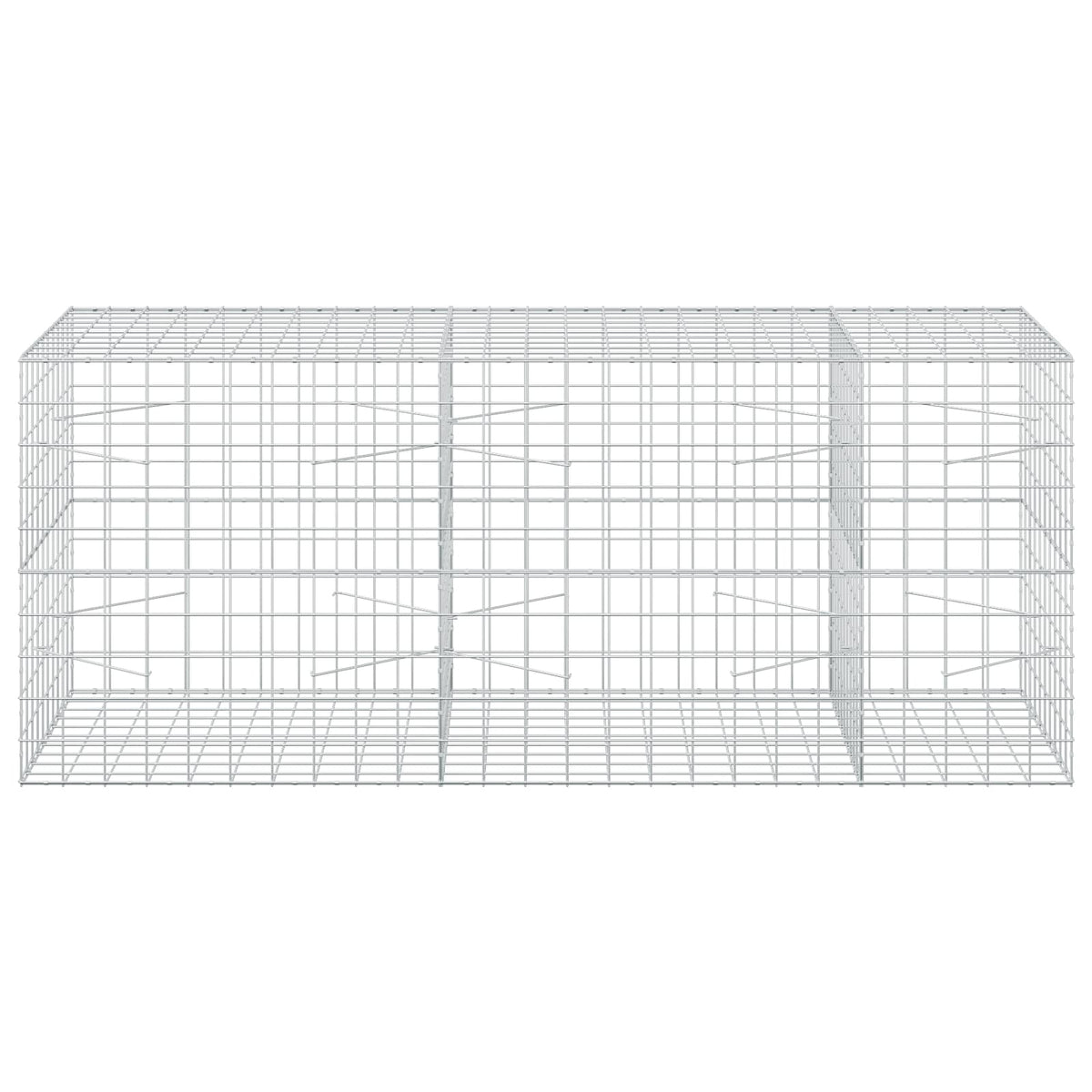 vidaXL Gabion with 5 mm Wire and 10x10 cm Mesh 250x100x100 cm 3