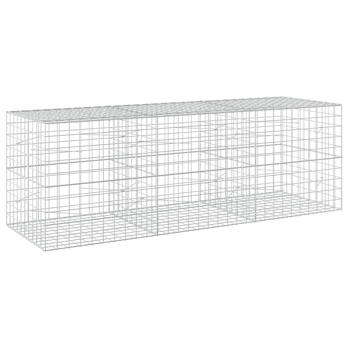 vidaXL Gabion with 5 mm Wire and 10x10 cm Mesh 300x100x100 cm 2