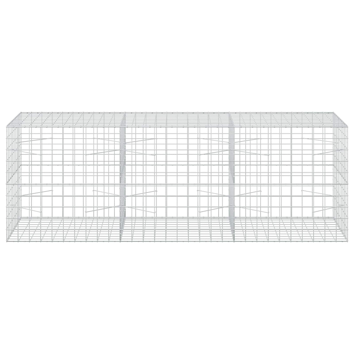 vidaXL Gabion with 5 mm Wire and 10x10 cm Mesh 300x100x100 cm 3