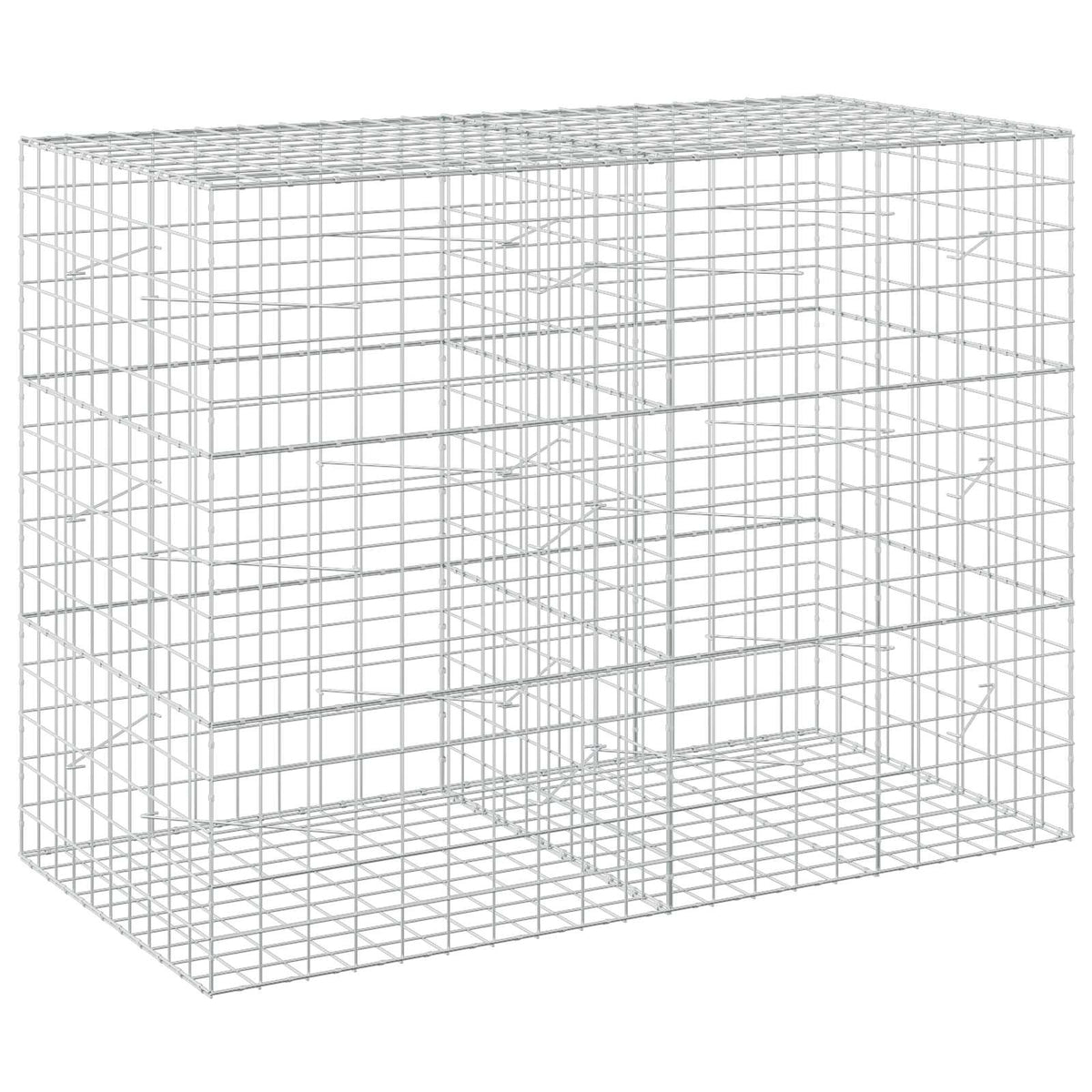 vidaXL Gabion with 5 mm Wire and 10x10 cm Mesh 200x100x150 cm 2