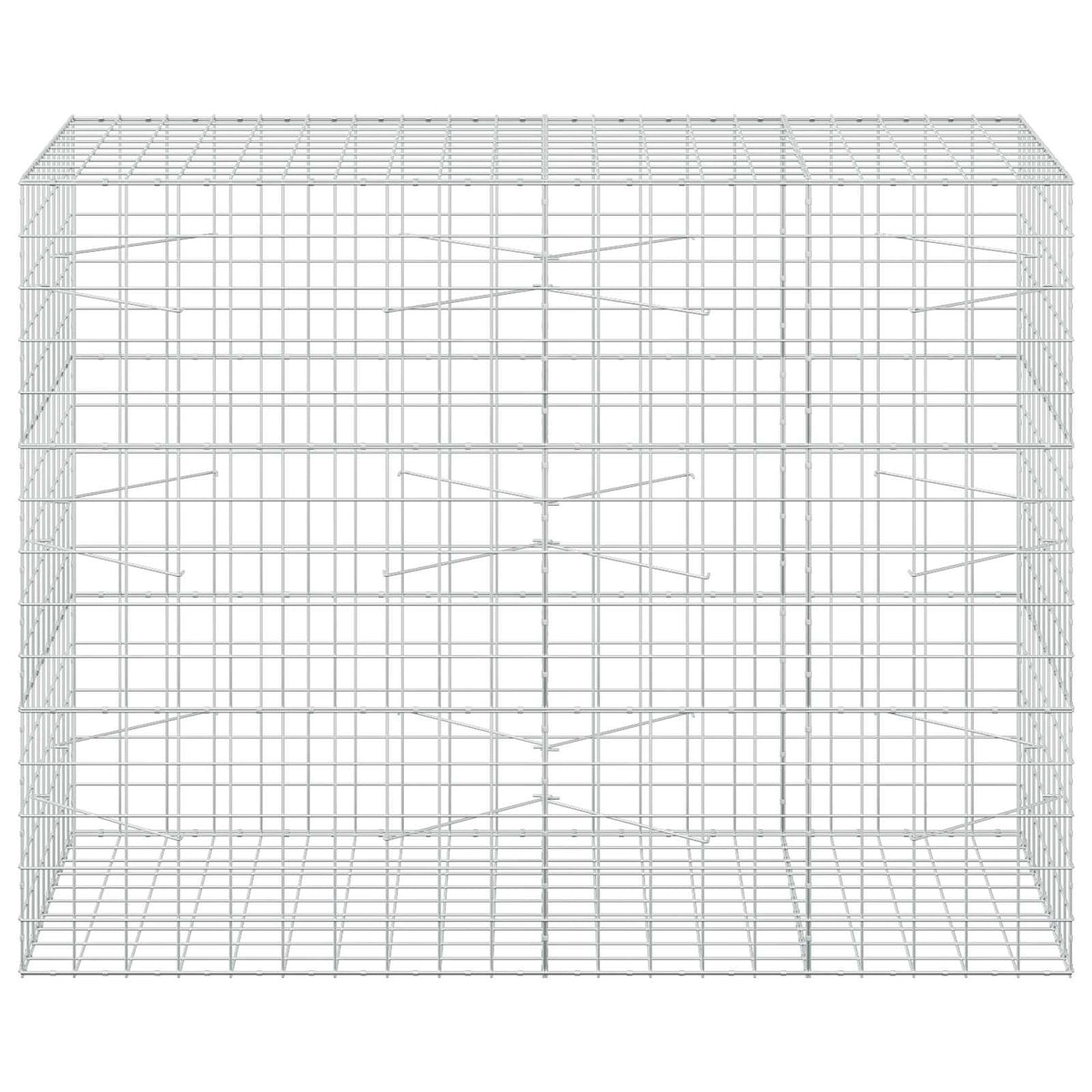 vidaXL Gabion with 5 mm Wire and 10x10 cm Mesh 200x100x150 cm 3