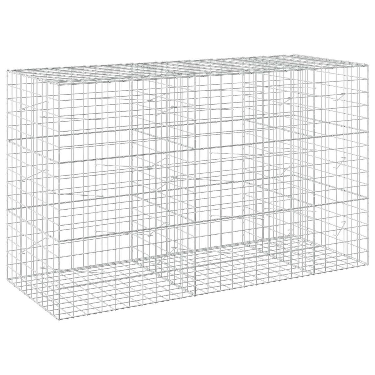 vidaXL Gabion with 5 mm Wire and 10x10 cm Mesh 250x100x150 cm 2