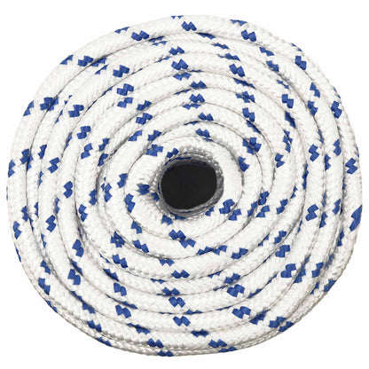 Multipurpose Utility Rope PP Length 100 m White and Blue 12 mm