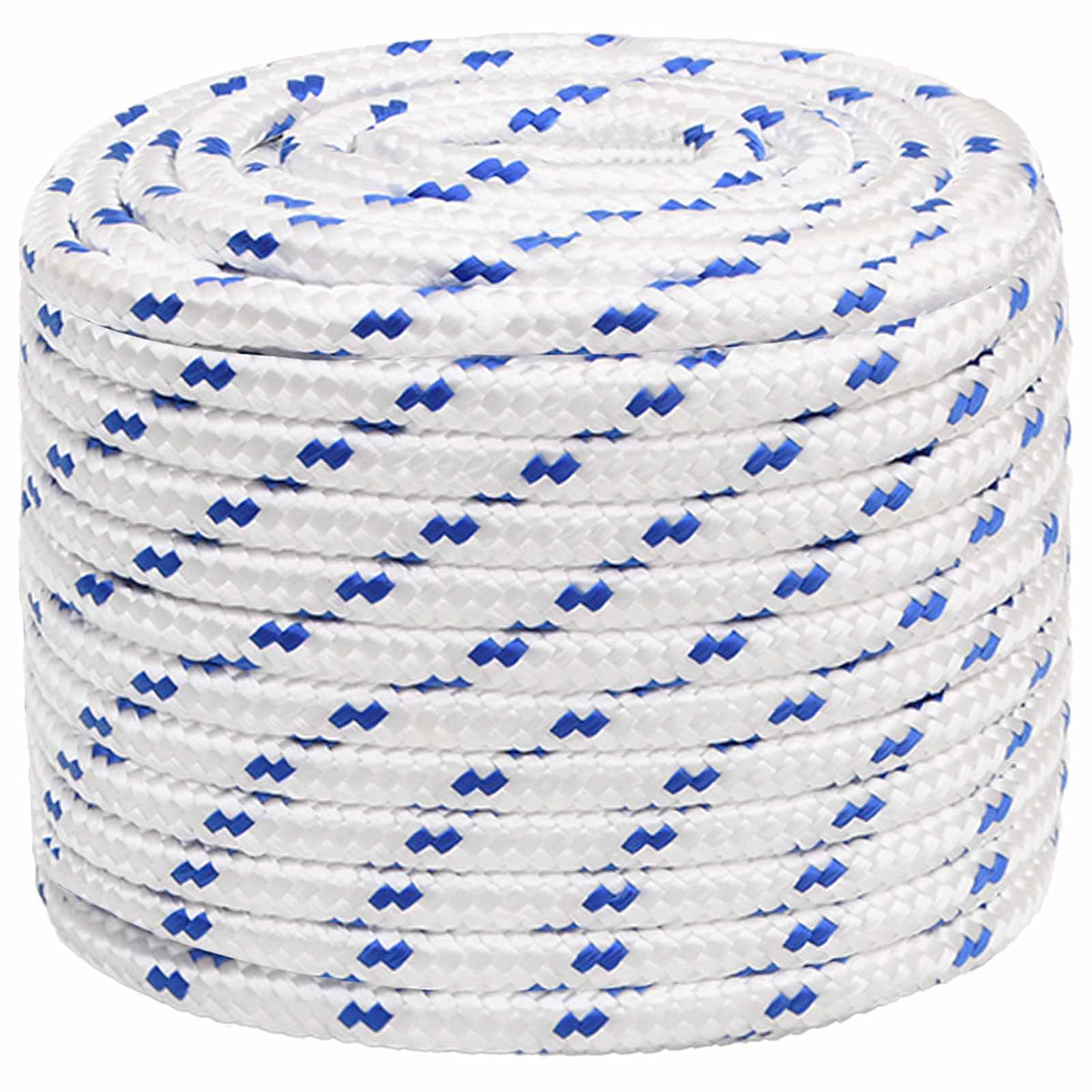 Multipurpose Utility Rope PP Length 25 m White and Blue 20 mm