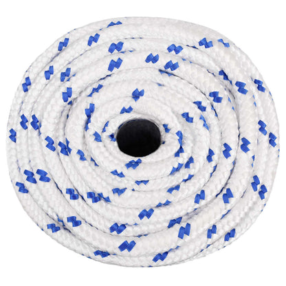 Multipurpose Utility Rope PP Length 25 m White and Blue 20 mm