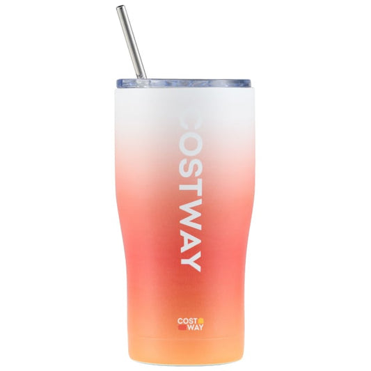 Costway Stainless Steel Tumbler with Lid and Metal Straw