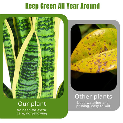 93cm Artificial Snake Plant with Pot