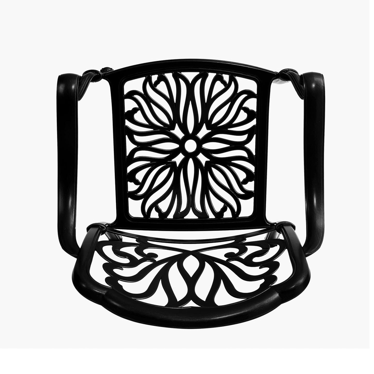 Set of 2 Outdoor Cast Aluminum Dining Chairs with Cushions