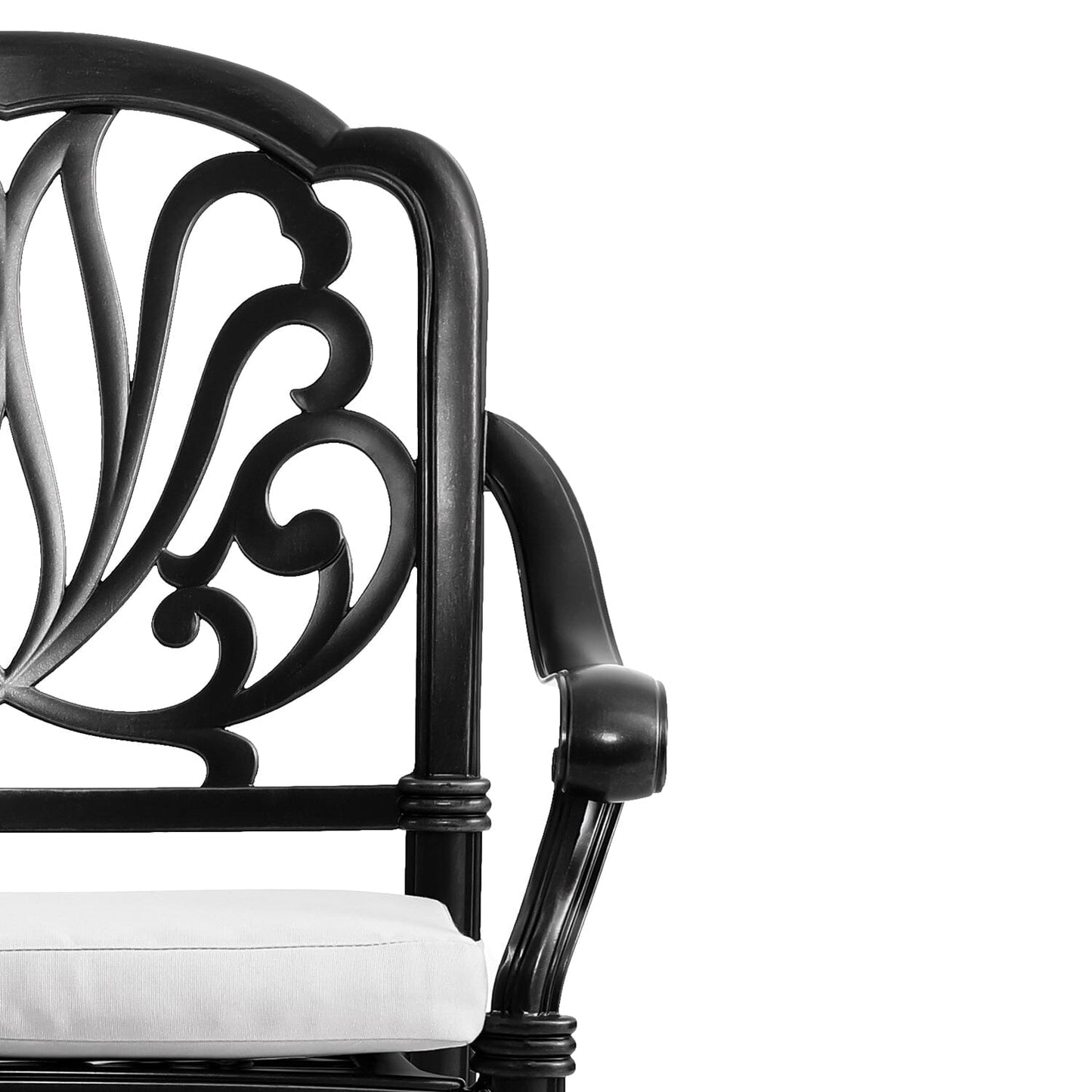 Set of 2 Outdoor Cast Aluminum Dining Chairs with Cushions