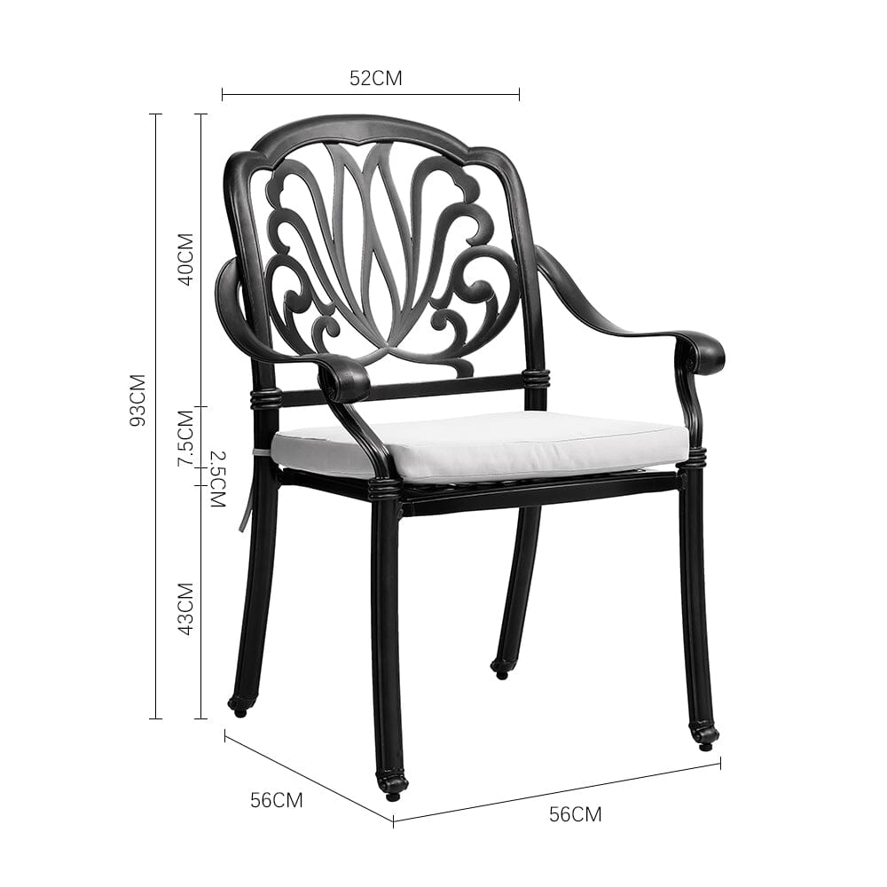Set of 2 Outdoor Cast Aluminum Dining Chairs with Cushions