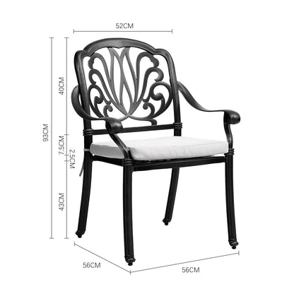 Set of 2 Outdoor Cast Aluminum Dining Chairs with Cushions