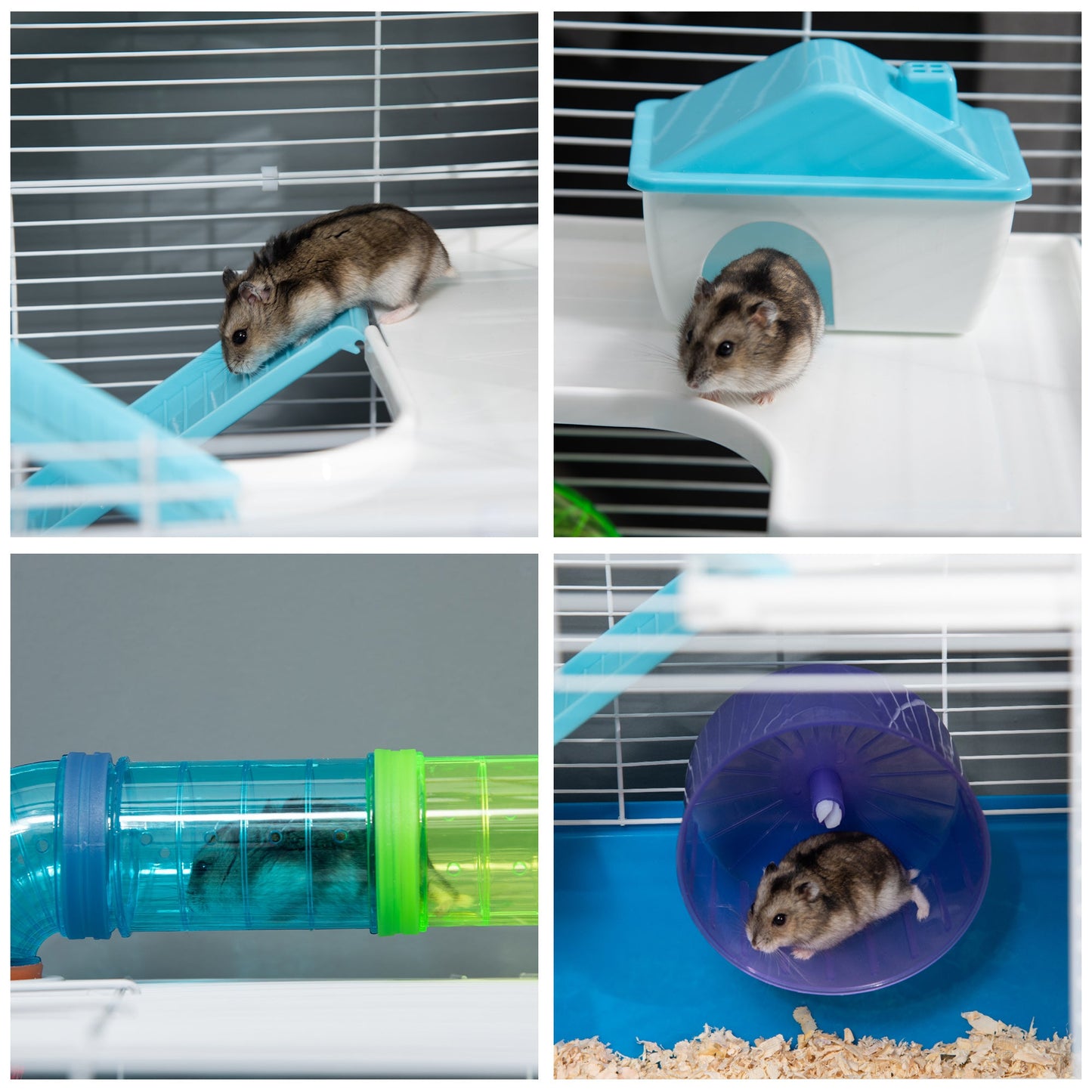 PawHut Hamster Cage with Tunnel Tube System, 5 Level Gerbil Haven with Water Bottle, Exercise Wheel, Food Dish, Ramps 59 cm x 36 cm x 69 cm - Blue