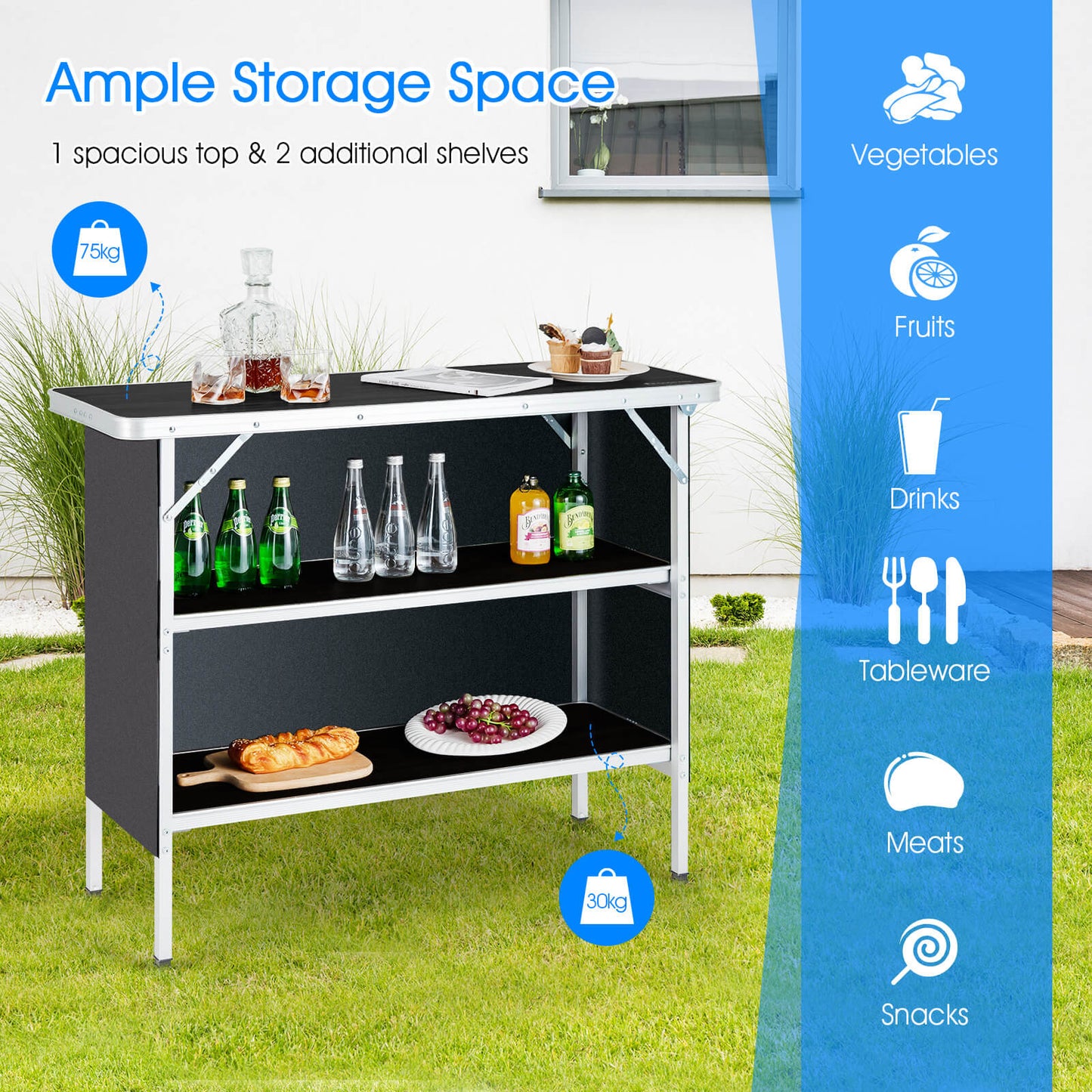 Aluminum Lightweight Folding Picnic Table with 2-Tier Shelves and Carrying Bag-Black