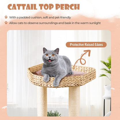 Cattail Cat Tower with Sisal Scratching Posts Perch Condo and Dangling Ball-Coffee