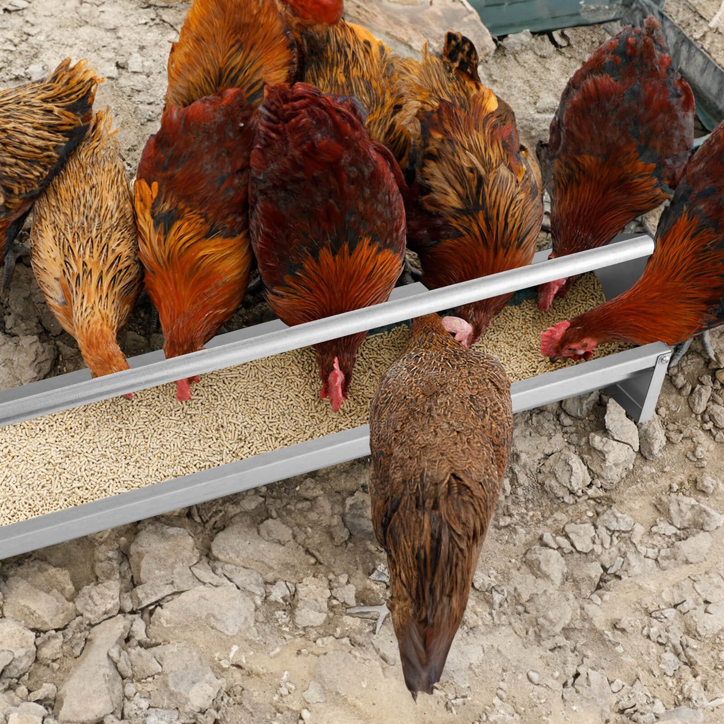 Steel Chicken Feeding Trough with Crossbar and Drainage Holes-Silver
