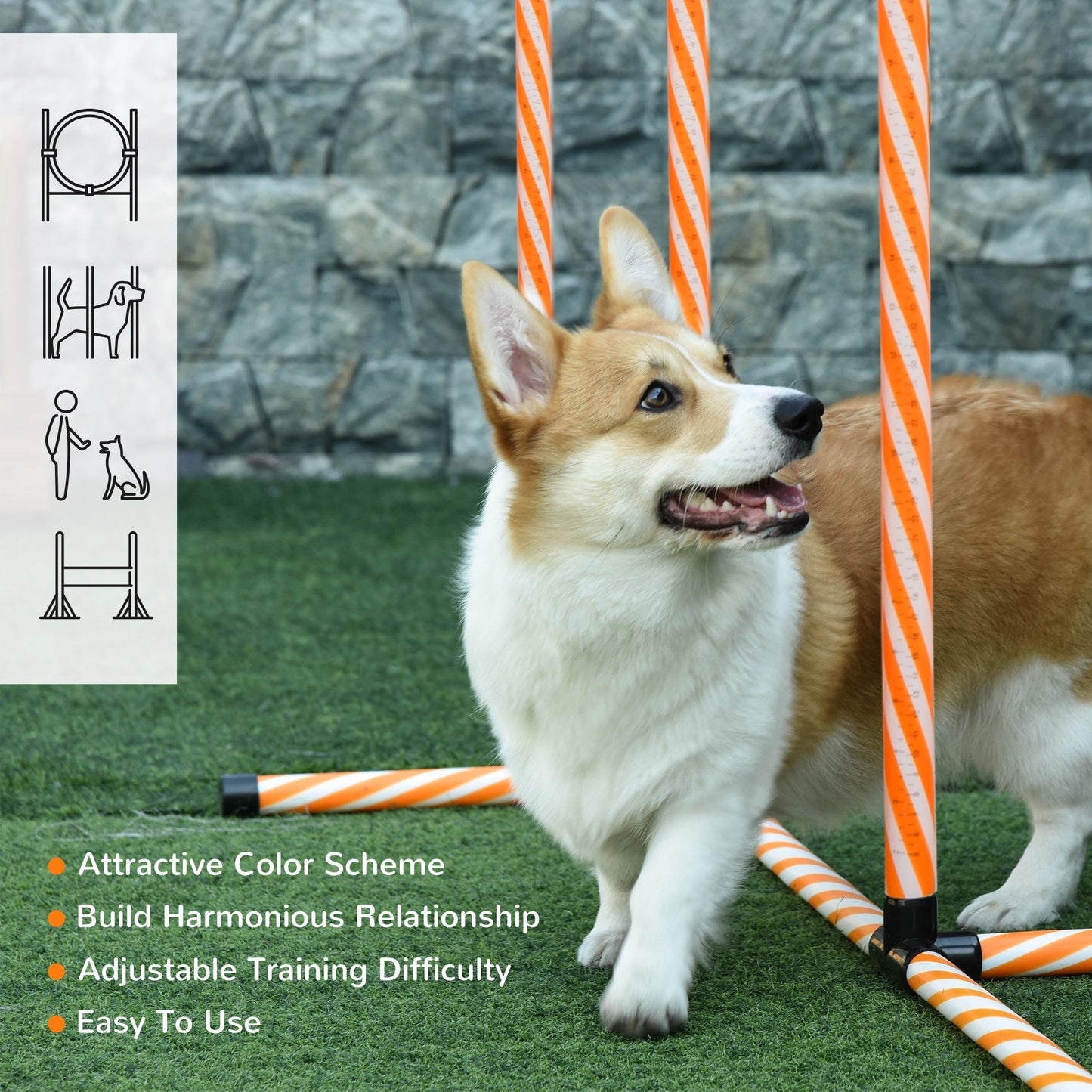 PawHut Pet Agility Training Equipment Dog Play Run Jump Hurdle Bar Obedience Training Set with Adjustable Height Jump Ring Square Pause Box Carry Bag