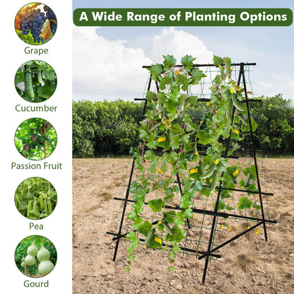 Cucumber Trellis for Climbing Plants Outdoor-Black