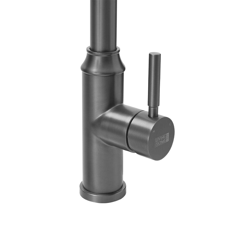 Single Handle Kitchen Faucet with Spring Spout