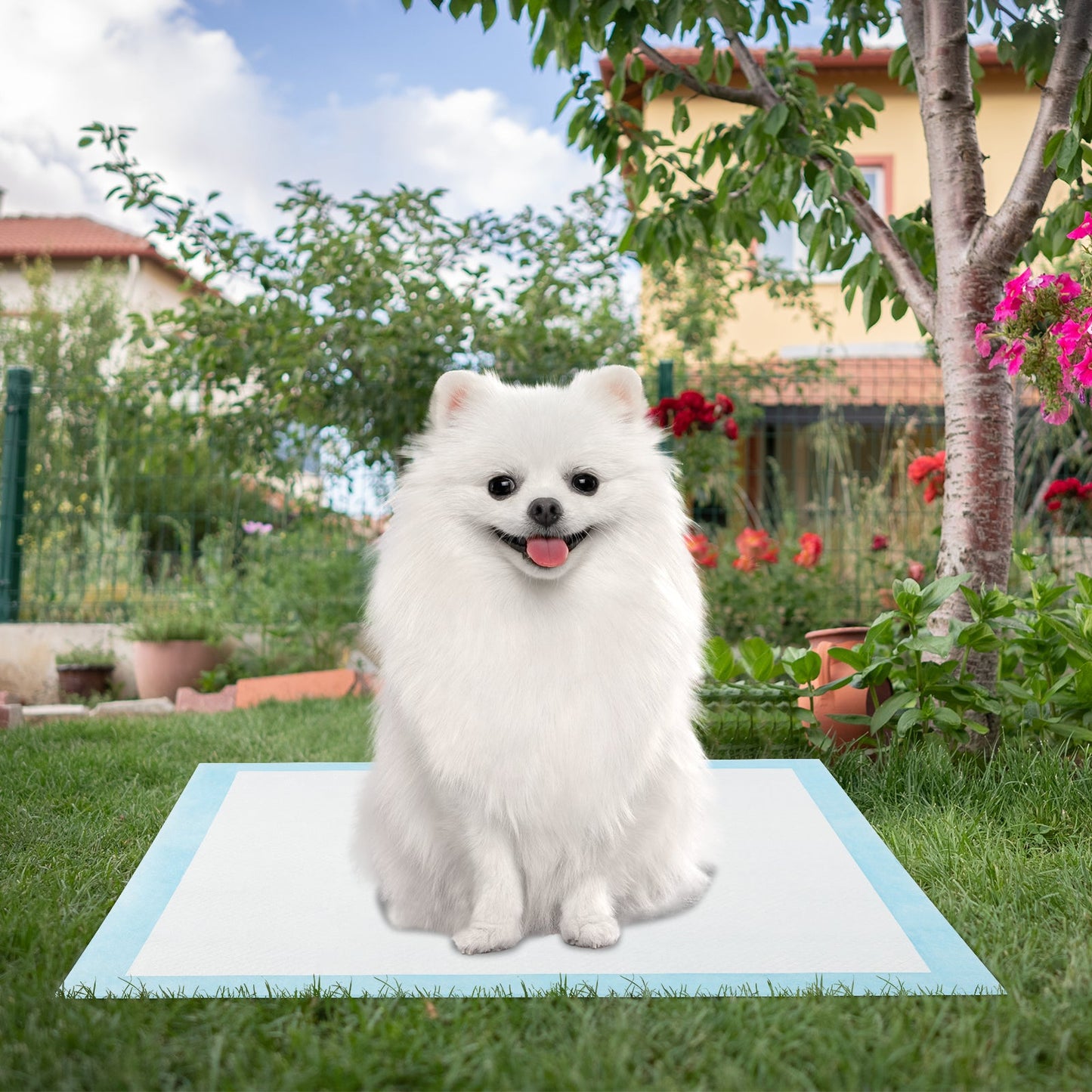 Dog and Puppy Pee Pads 60 x 43 cm(300 Counts) 6-Layer Leak-Proof Pet Pads-Blue