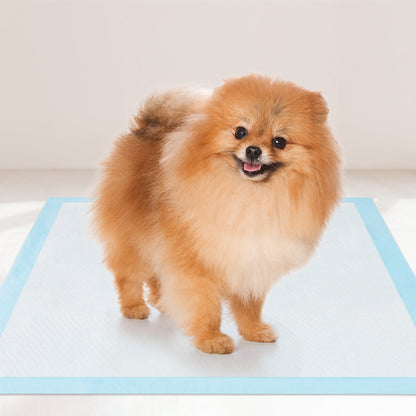 Dog and Puppy Pee Pads 60 x 43 cm(300 Counts) 6-Layer Leak-Proof Pet Pads-Blue
