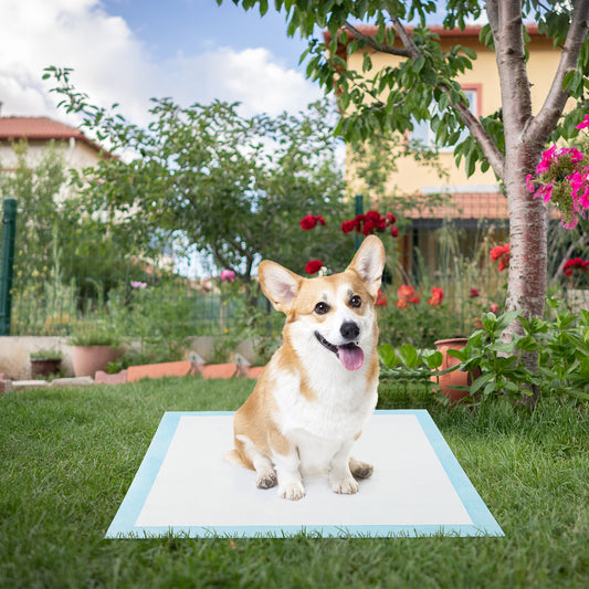 Dog and Puppy Pee Pads 76 x 76 cm(150 Counts) 6-Layer Leak-Proof Pet Pads-Blue