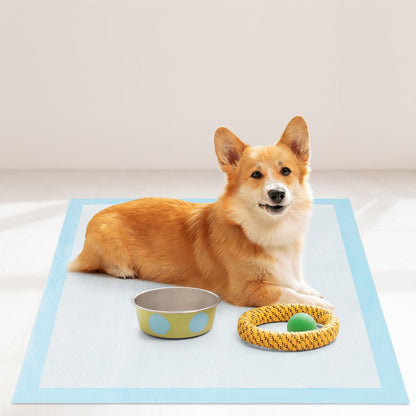 Dog and Puppy Pee Pads 76 x 76 cm(150 Counts) 6-Layer Leak-Proof Pet Pads-Blue