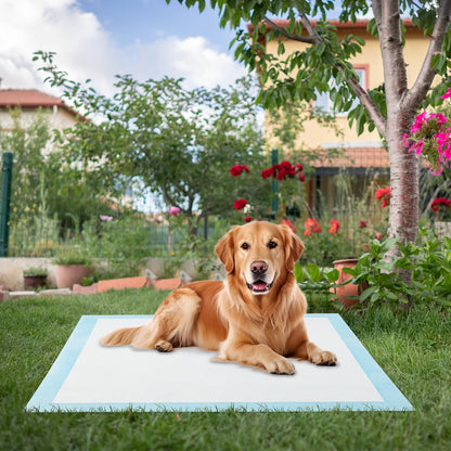 Dog and Puppy Pee Pads 90 x 90 cm(100 Counts) 6-Layer Leak-Proof Pet Pads-Blue